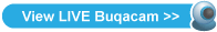 Buqa Cam LIVE